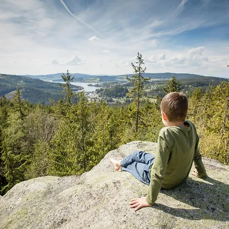 Lipno Hideaway Villa *